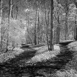 IR in the Yorkshire Wolds 4