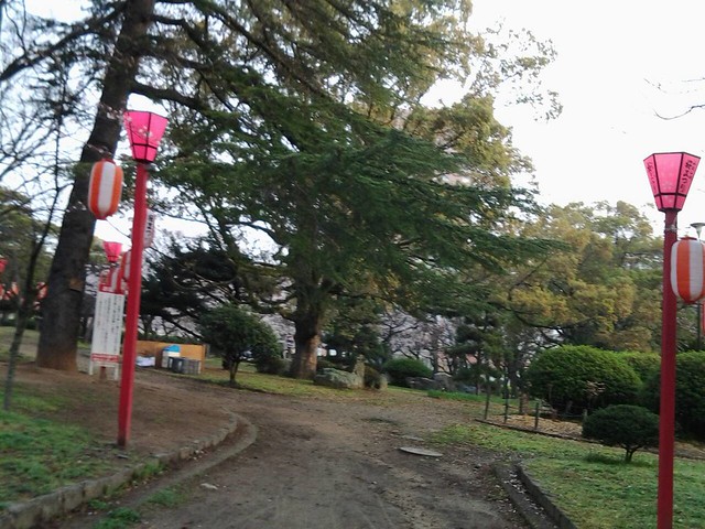 9802和歌山城的櫻花