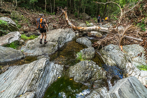 water creek rainforest rocks australia brisbane bushwalking qld queensland 2015 brisbaneforestpark bushwalkers daguilarnationalpark northbrookgorge sonya7r