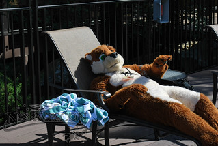 A brown and white furry, perhaps an otter, lies on a deck chair by the pool.