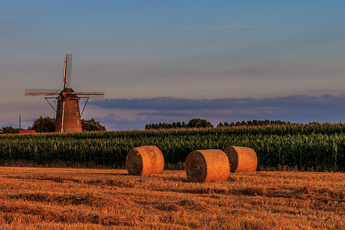 terdeghem nordpasdecalaispicardie france fr canon eos sigma landscape field calm quiet outdoor moulin windmill flandre flanders steenmeulen strawbales bottesdepaille maïs corn ciel sky nuages clouds sunset coucherdesoleil maize arbres trees nature summer été orange green colours couleurs rural campaign campagne cielo countryside scenery europe maiz molino atardecer sonnenuntergang mühle windmühle himmels wolken nubes fardodeheno valla strohstiefel