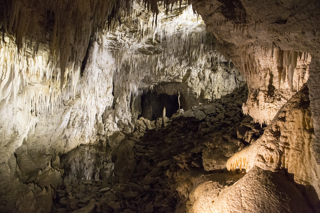 Cavernes de Waitomo