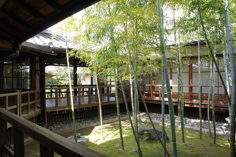 孟宗竹の庭／妙顕寺(Myoken-ji Temple)