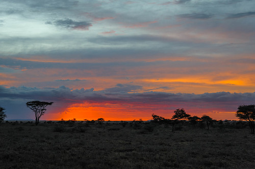 sunset sky sun clouds tanzania elements serengetinp bariadi shinyanga namiriplains