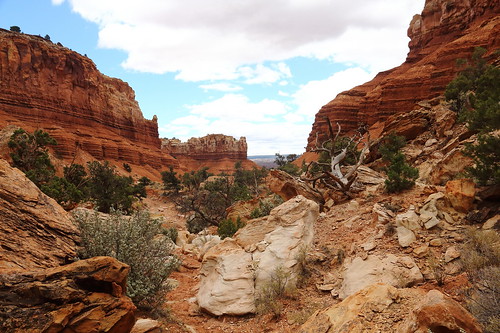 travel nature rock canon landscape utah sandstone walk hike redrock blm torreyutah