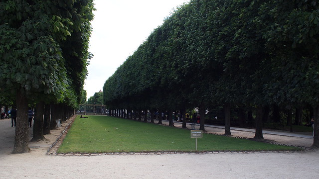 Paris Jardin du Luxembourg