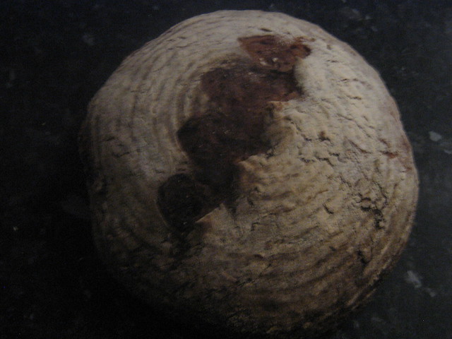 Double fermented rye bread