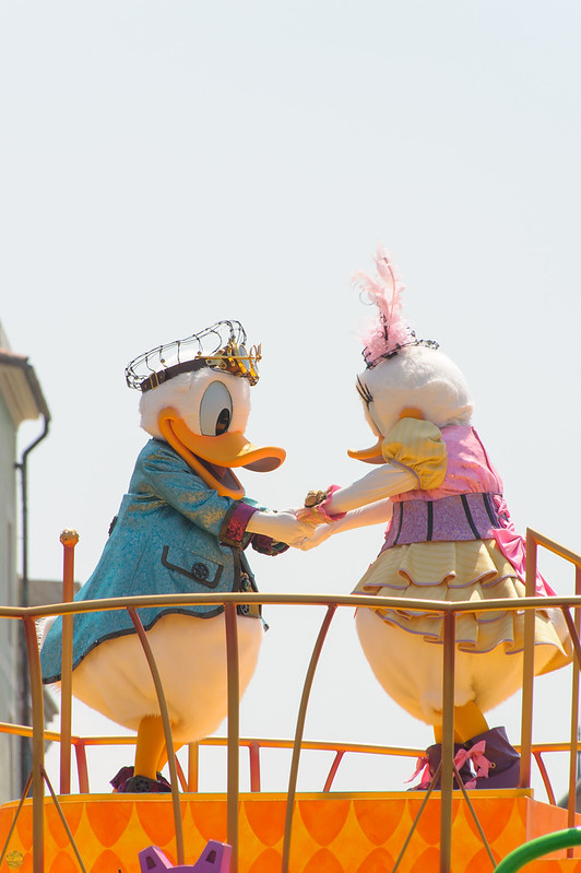flickr d3_plus