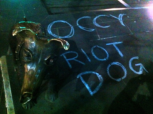 OO Tuesday #13: Occy Riot Dog