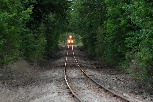 railroad forest train tn tennessee stjoseph deer locomotive emd gp9 shortline tsrr tennesseesouthern treetunneltrees