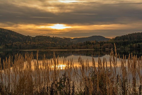 dsc2642 sweden nordingrå n62°55686e18°17322 prästön vägsfjärden skog forest höst autumn vass reed solnedgång sunset atranswe