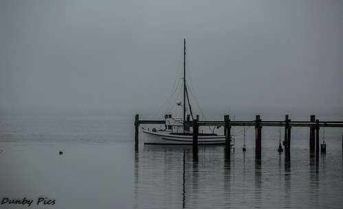 fog boats tomalesbay