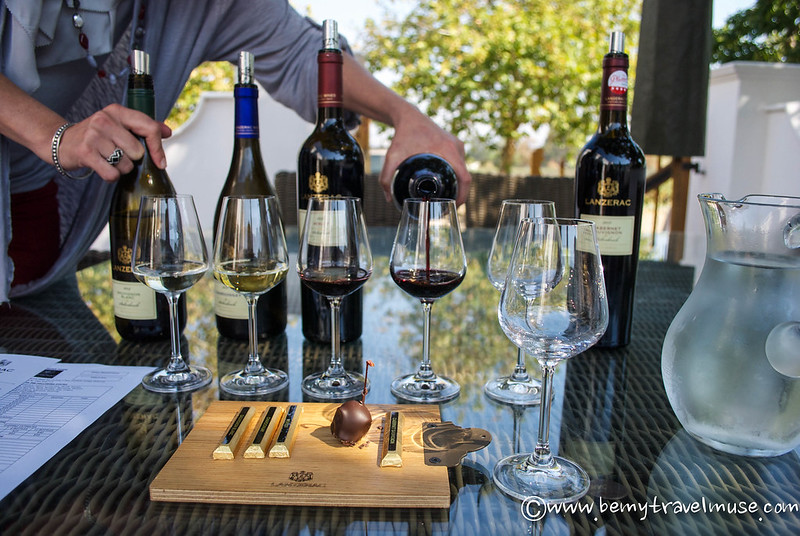 wine tasting in stellenbosch south africa