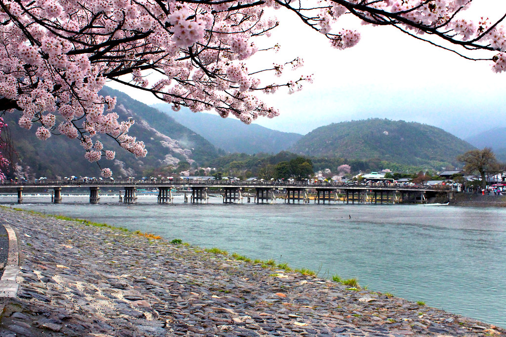Sakura in Arashiyama, Kyoto 2015