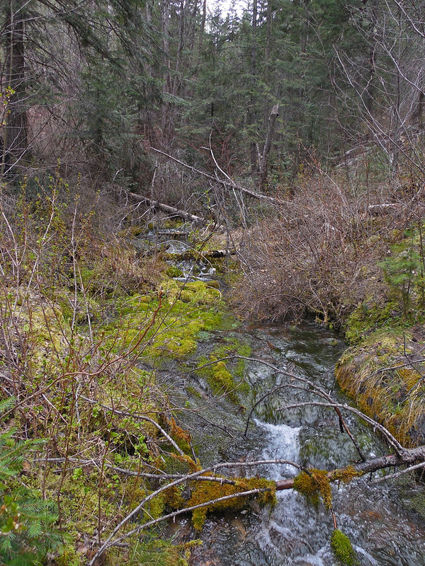 Ashley Creek trail 454