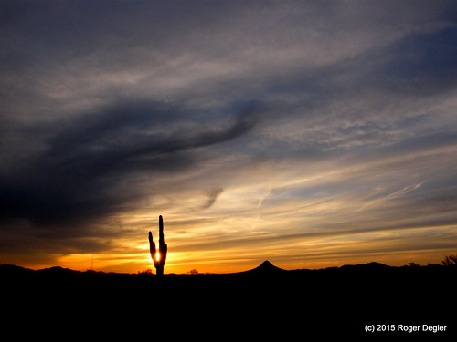 sunset arizona sky usa clouds florence desert saguarocactus