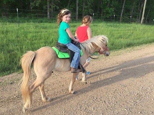 horse girl young riding pony saddle