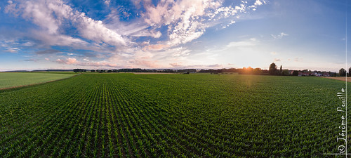 sunset panorama france pano champs fields fr aerialphotography coucherdesoleil panoramique drone pasdecalais aérien phantom4 dji nordpasdecalaispicardie