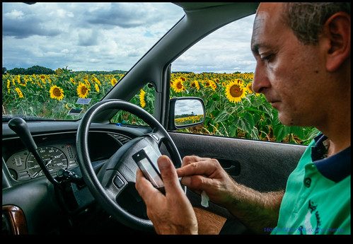 france rearviewmirror reflection sky khudder 2016 car sunflowers eurotrip nanteuilenvallée aquitainelimousinpoitoucharen aquitainelimousinpoitoucharentes fr