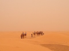 The Sahara near Ksar Ghilane (الصحراء حول قصر غيلان)