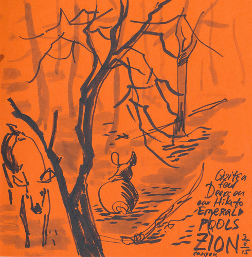 March 2015: Canyon Trip - Zion