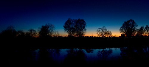trees sunset silhouette river severn worcestershire worcester