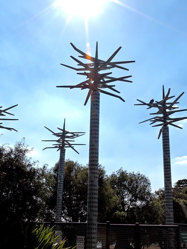 flowers trees sculpture nature floral garden landscape australia victoria geelong treesculptures geelongbotanicgardens 2015330n
