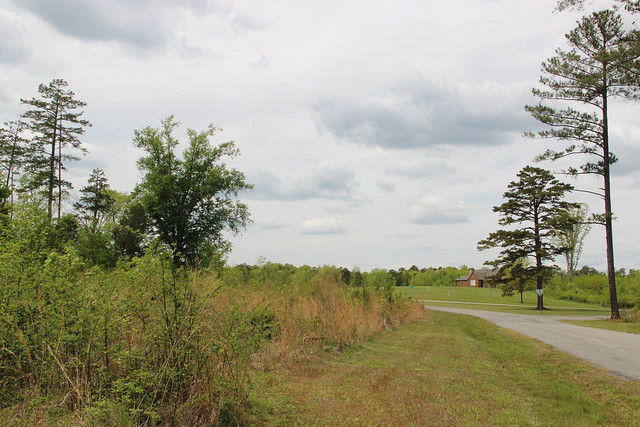Most park structures were spared by the tornado, but 200 acres of mature forest were lost at Staunton River State Park