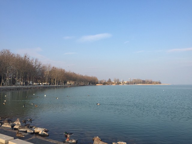 S__5038132中歐最大內陸湖～巴拉頓湖，這裏又稱匈牙利海