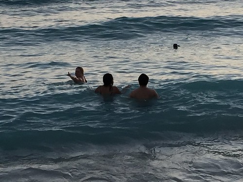 Swimming in Waikiki