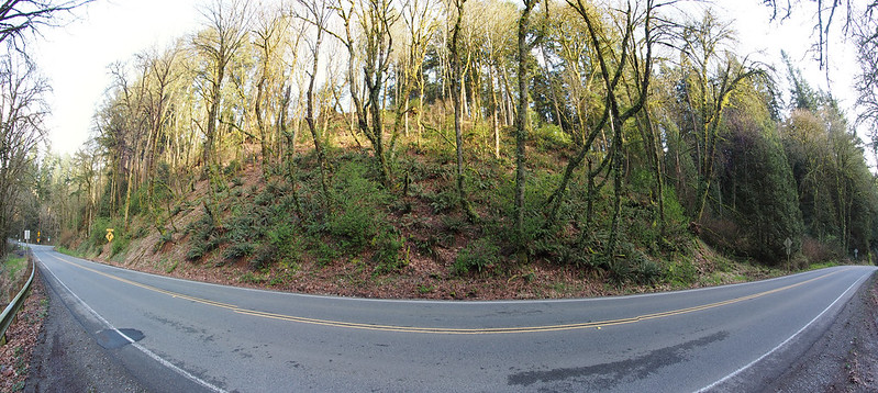 NE 165th St: A supposedly popular bicycle route ascending the ridge east of the Sammamish River Valey