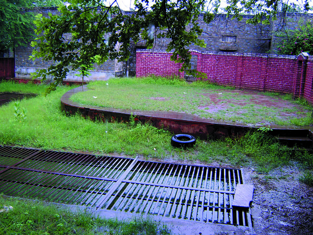 बेयरफुट कॉलेज में पानी का संरक्षण