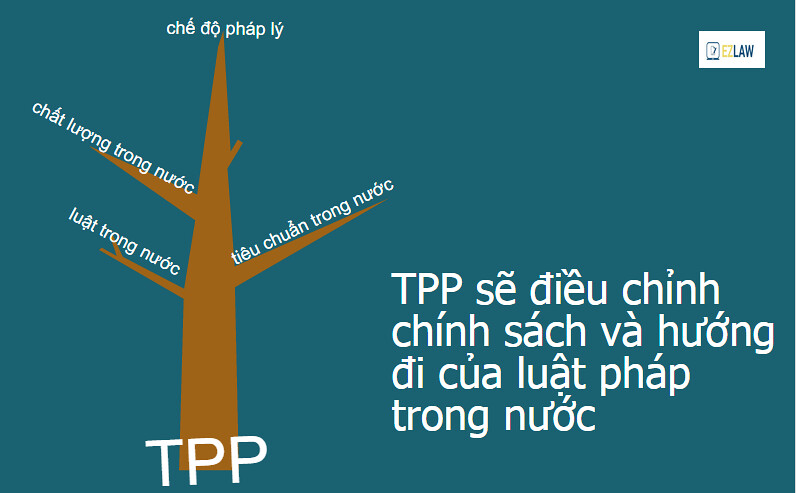 Hiệp định TPP Việt Nam
