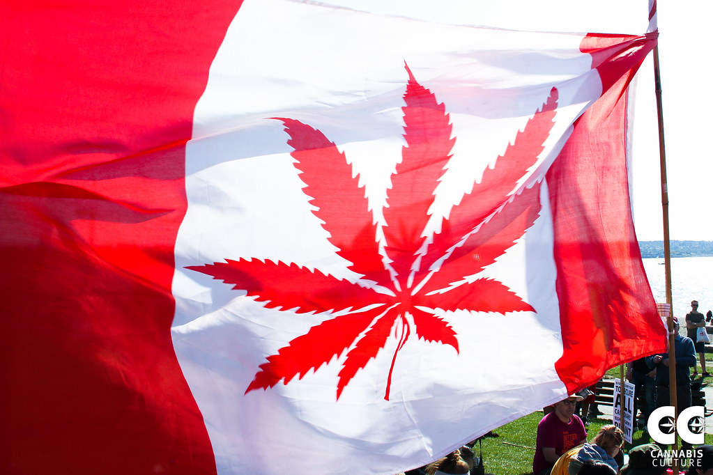 Vancouver Global Marijuana March 2015 - by Jeremiah Vandermeer