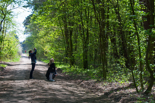 people forest spring path poland pl gniezno wielkopolskie