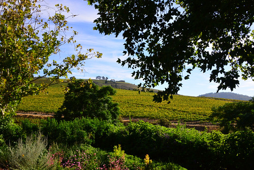 africa march vineyard estate view wine south jordan western cape friday stellenbosch 2015 mar2015 13mar2015