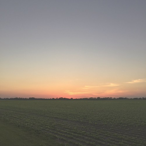 sunset field illinois