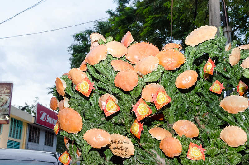 Crab tree at Green View Restaurant 长青海鲜饭店