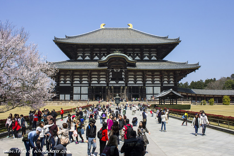 奈良 NARA - 東大寺 Tōdai-ji