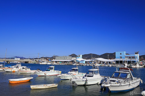 Tsuyazaki fishing port