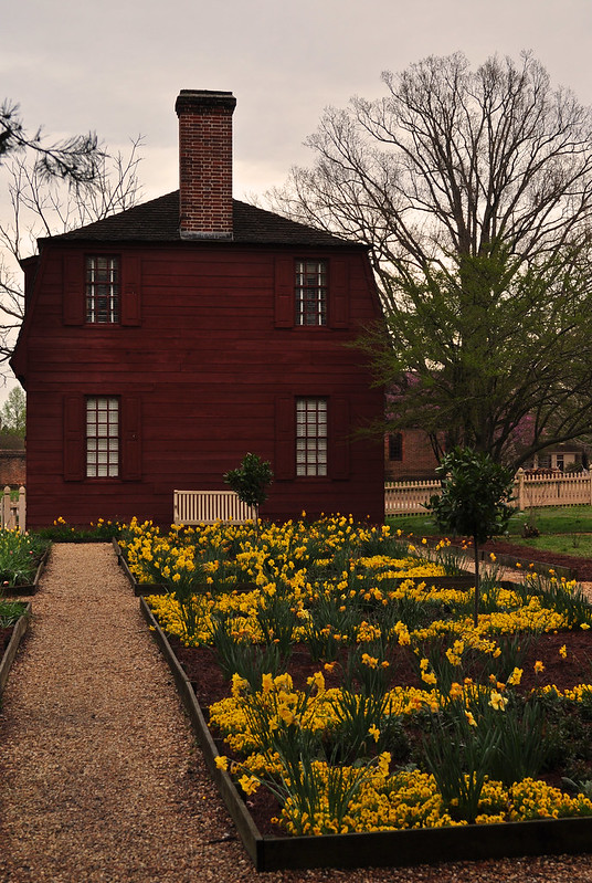 Red House, Yellow Garden (1)