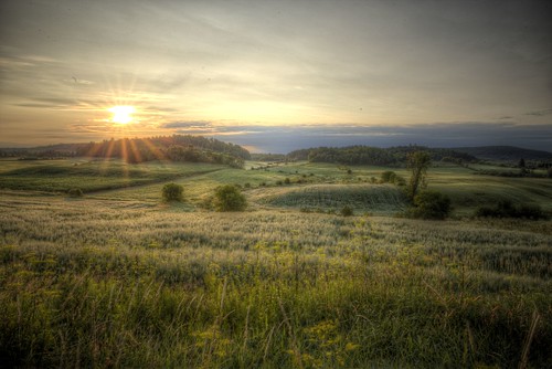 landscape paysage matin morning sunsoleil champsfieldhdr montebello quebec canada