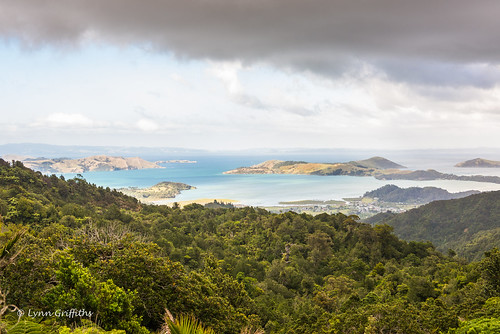 newzealand water landscape bay coast waikato coromandel landscapephotography outdoorphotography