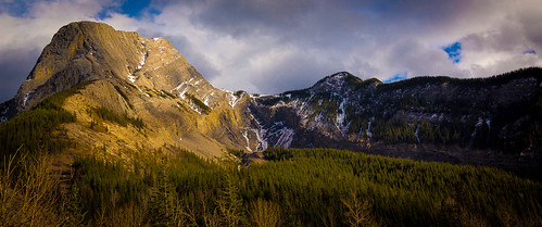trees sunlight mountain canon landscape jasper jaspernationalpark lifewithderek paulhowardphotography