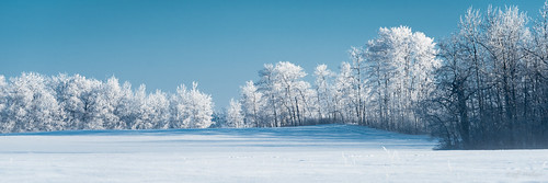 winter canada landscape hoarfrost telephoto alberta legal 2015