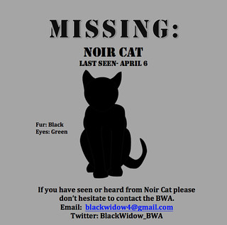 missing noir cat