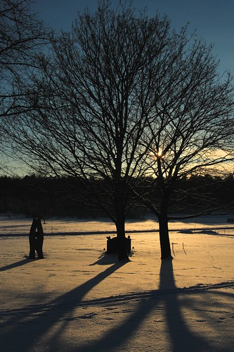 trees winter sunset canon eos vinter cemetary uppsala träd solnedgång 700d