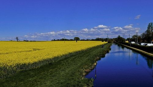 blue sky yellow spring fuji canals gb fields rapeseed xe1 fujix 1650mm