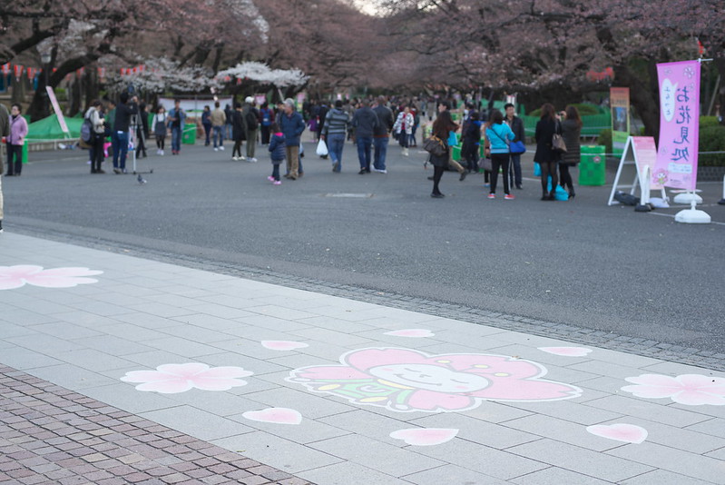 東京路地裏散歩 上野公園の桜 谷中から上野へ 2015年3月25日
