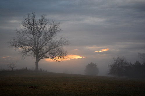 morning fog rural sunrise dawn indiana casscounty